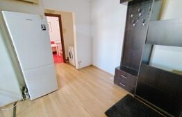 Apartament de 2 camere, pet friendly, aer conditionat, cartier Brazda lui Novac