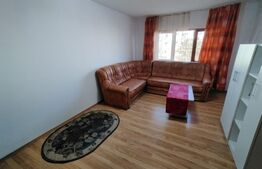 Apartament de 2 camere, pet friendly, aer conditionat, cartier Brazda lui Novac