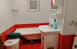 Apartament de 2 camere, pet friendly, aer conditionat, cartier Brazda lui Novac