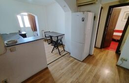 Apartament de 2 camere, pet friendly, aer conditionat, cartier Brazda lui Novac
