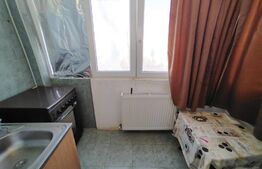 Apartament de 2 camere, pet friendly, aer conditionat, cartier Brazda lui Novac