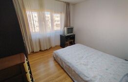 Apartament de 2 camere, pet friendly, aer conditionat, cartier Brazda lui Novac