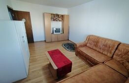Apartament de 2 camere, pet friendly, aer conditionat, cartier Brazda lui Novac