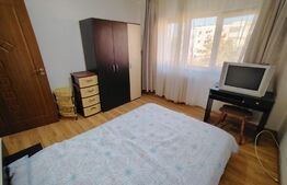 Apartament de 2 camere, pet friendly, aer conditionat, cartier Brazda lui Novac