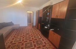 Garsoniera 1 camera - zona Brazda