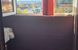 Garsoniera 1 camera - zona Brazda