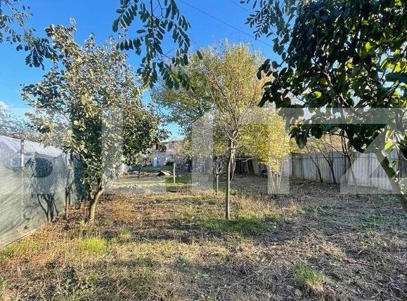 Casa de vânzare 4 camere Preajba - 130906CV | BLITZ Craiova | Poza17