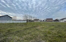 Teren pretabil investitie dezvoltare case Perla Albestenilor 4583 mp