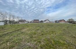 Teren pretabil investitie dezvoltare case Perla Albestenilor 4583 mp