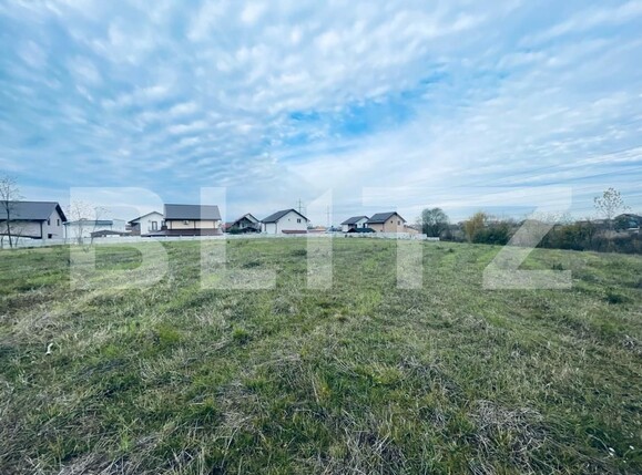 Teren de vânzare Albesti - 130979TV | BLITZ Craiova | Poza1