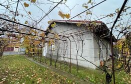 Casa locuibila toate utilitatile zona Simnicul de Jos 1424 mp cu front 25 mp