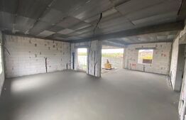 Proprietate formată din 2 hale și o casa, 530 mp suprafață construita, 2000 mp teren, zona Dumagas