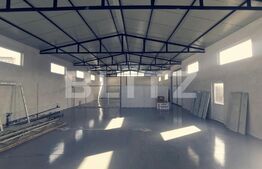 Proprietate formată din 2 hale și o casa, 530 mp suprafață construita, 2000 mp teren, zona Dumagas