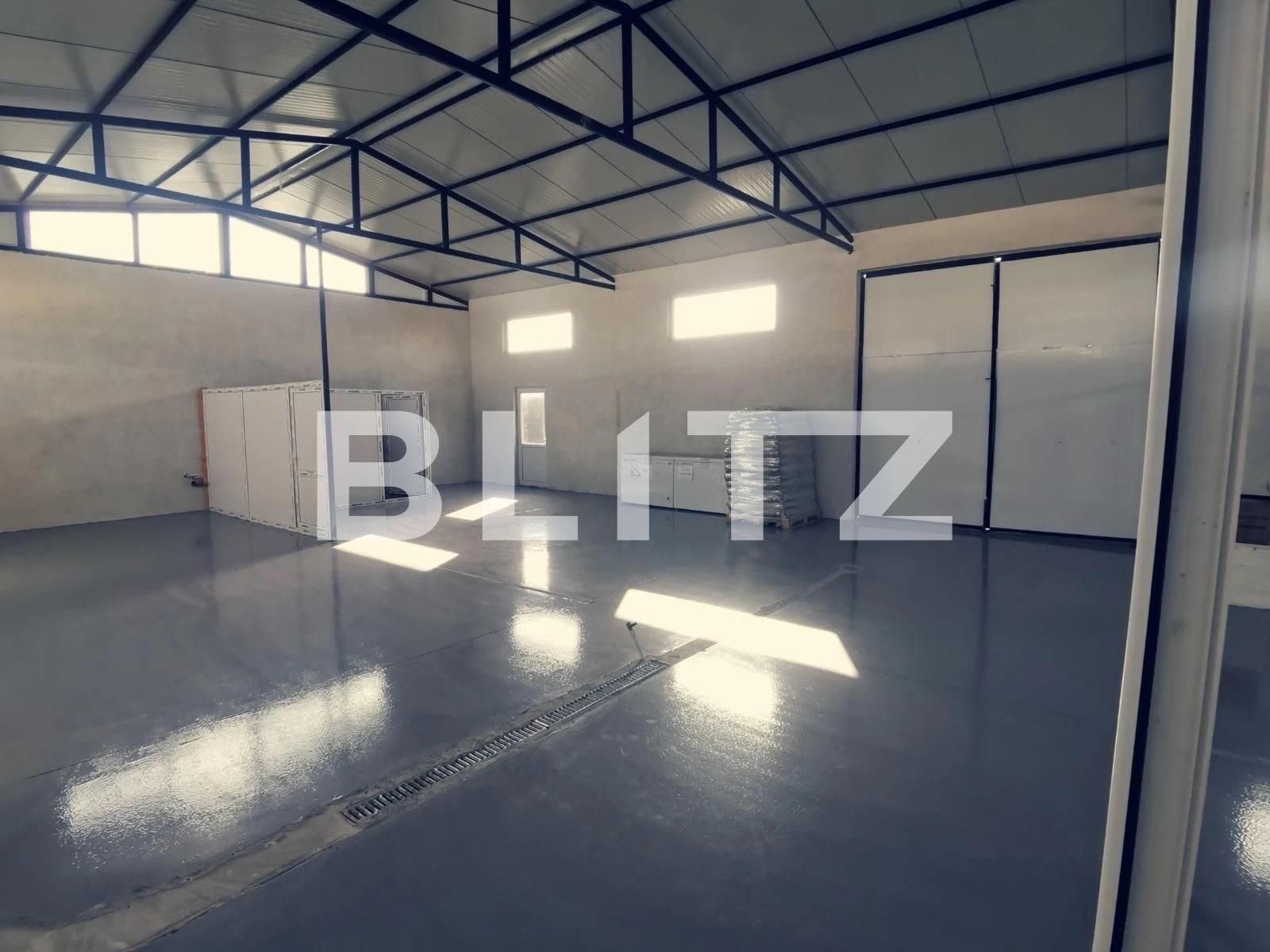 Spațiu industrial de vânzare Exterior Sud - 131181SVI | BLITZ Craiova | Poza3