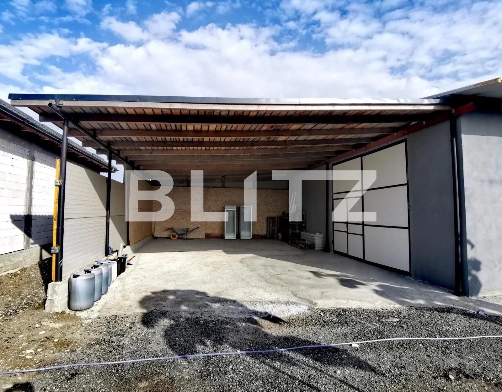 Spațiu industrial de vânzare Exterior Sud - 131181SVI | BLITZ Craiova | Poza4