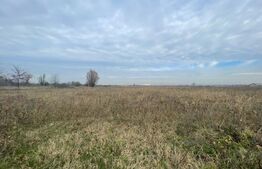 Teren extravilan agricol 5792 mp Popoveni