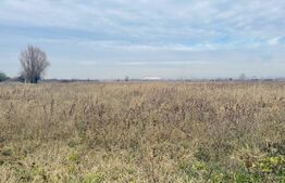 Teren extravilan agricol 5792 mp Popoveni