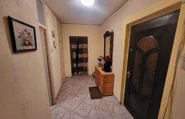 Apartament 2 camere, decomandat, 60mp, cartier Brazda lui Novac