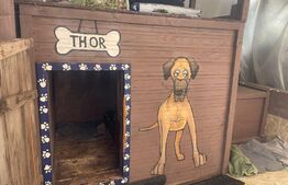 Oportunitate! Parte din duplex modern în regim P+M, teren de 400 mp,Semicentral