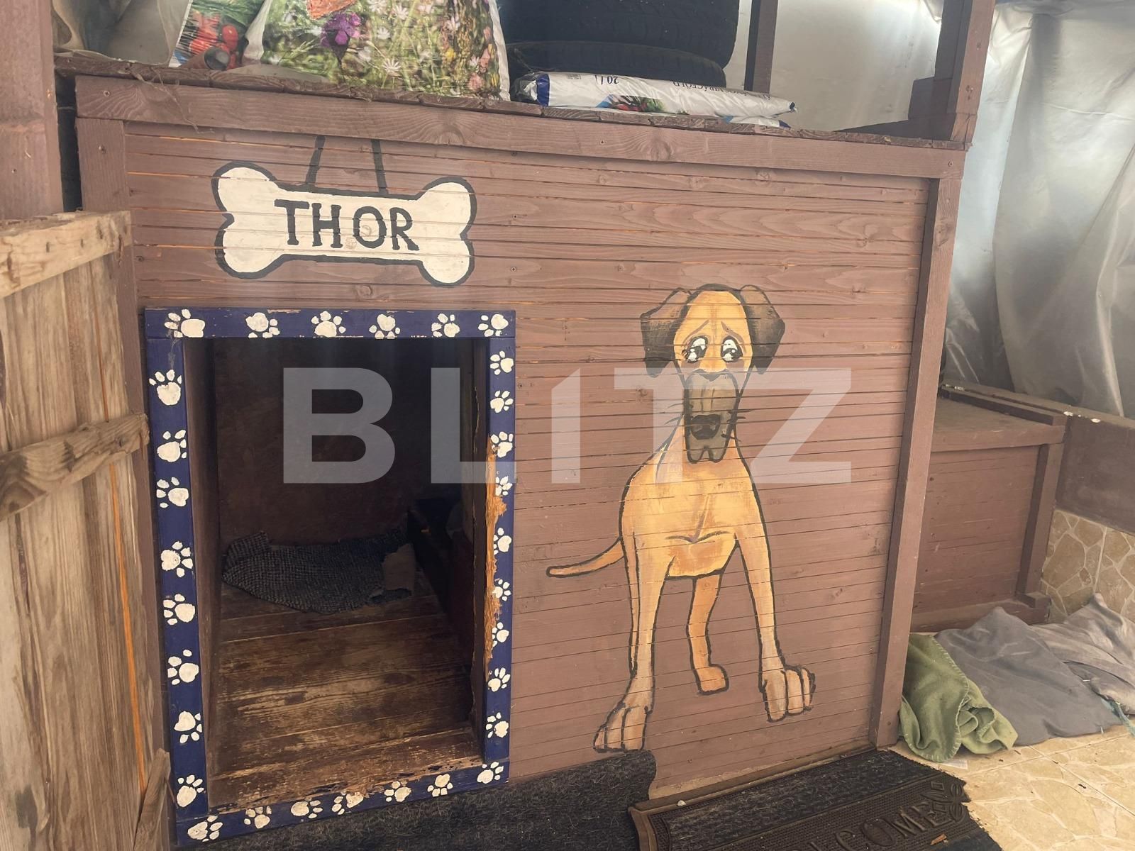 Casa de vânzare 4 camere George Enescu - 131234CV | BLITZ Craiova | Poza12