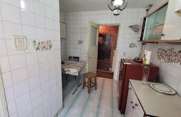 Apartament 2 camere semidecomandat - Brazda lui Novac