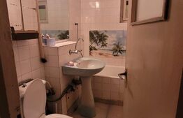 Apartament 2 camere semidecomandat - Brazda lui Novac