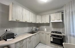 Apartament modern cu 3 camere și 2 băi, 65 mp, în cartierul Brazda lui Novac