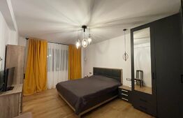 Casa de lux mobilata utilata in spatele Parcului Romanescu 