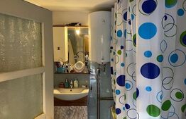 Casă în zona liceului Traian Vuia semifinisată, nivel parter + demisol, cu anexă locuibilă amplasată pe un teren de 327 mp 