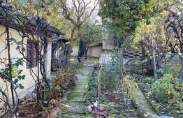 Casă în zona liceului Traian Vuia semifinisată, nivel parter + demisol, cu anexă locuibilă amplasată pe un teren de 327 mp 