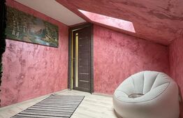 Casa moderna Brestei P + mansarda