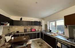 Casa moderna Brestei P + mansarda