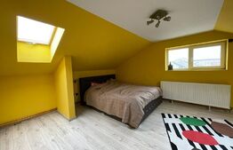 Casa moderna Brestei P + mansarda