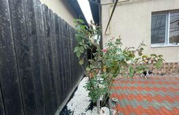 Casa moderna Brestei P + mansarda