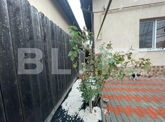 Casa de vânzare 3 camere Brestei - 131545CV | BLITZ Craiova | Poza12