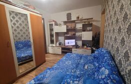 Apartament 2 camere semidecomandat - Valea Rosie