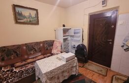 Camera de camin - Valea Rosie, in apropiere de gradinita 