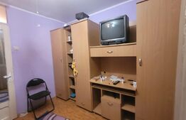 Camera de camin - Valea Rosie, in apropiere de gradinita 