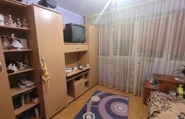 Camera de camin - Valea Rosie, in apropiere de gradinita 