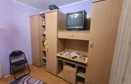 Camera de camin - Valea Rosie, in apropiere de gradinita 