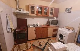 Camera de camin - Valea Rosie, in apropiere de gradinita 