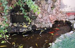 Proprietate lux, casă P+M situată în zona Selgros