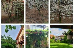 Proprietate lux, casă P+M situată în zona Selgros