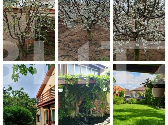 Casa de vânzare 5 camere Preajba - 131642CV | BLITZ Craiova | Poza3