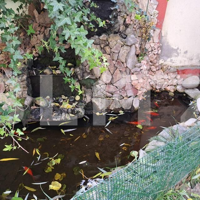 Casa de vânzare 5 camere Preajba - 131642CV | BLITZ Craiova | Poza4