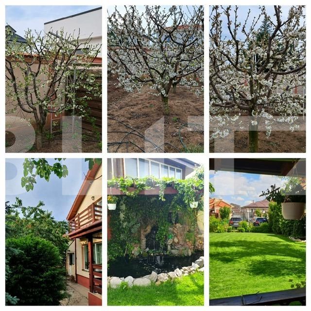 Casa de vânzare 5 camere Preajba - 131642CV | BLITZ Craiova | Poza3