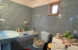 Casa P + 1 (168 mp) cu teren 1036 mp Cernele