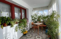 Casa P + 1 (168 mp) cu teren 1036 mp Cernele