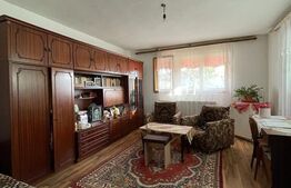 Casa P + 1 (168 mp) cu teren 1036 mp Cernele