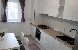 Garsoniera spatioasa, modern/lux, zona Centrala